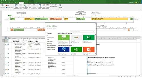 Microsoft Office 2019 Project Professional für Windows