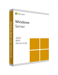 Microsoft Windows Server 2025 Client Access License (CAL) - 10 Devices