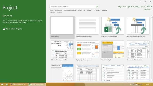 Microsoft Office 2019 Project Professional für Windows