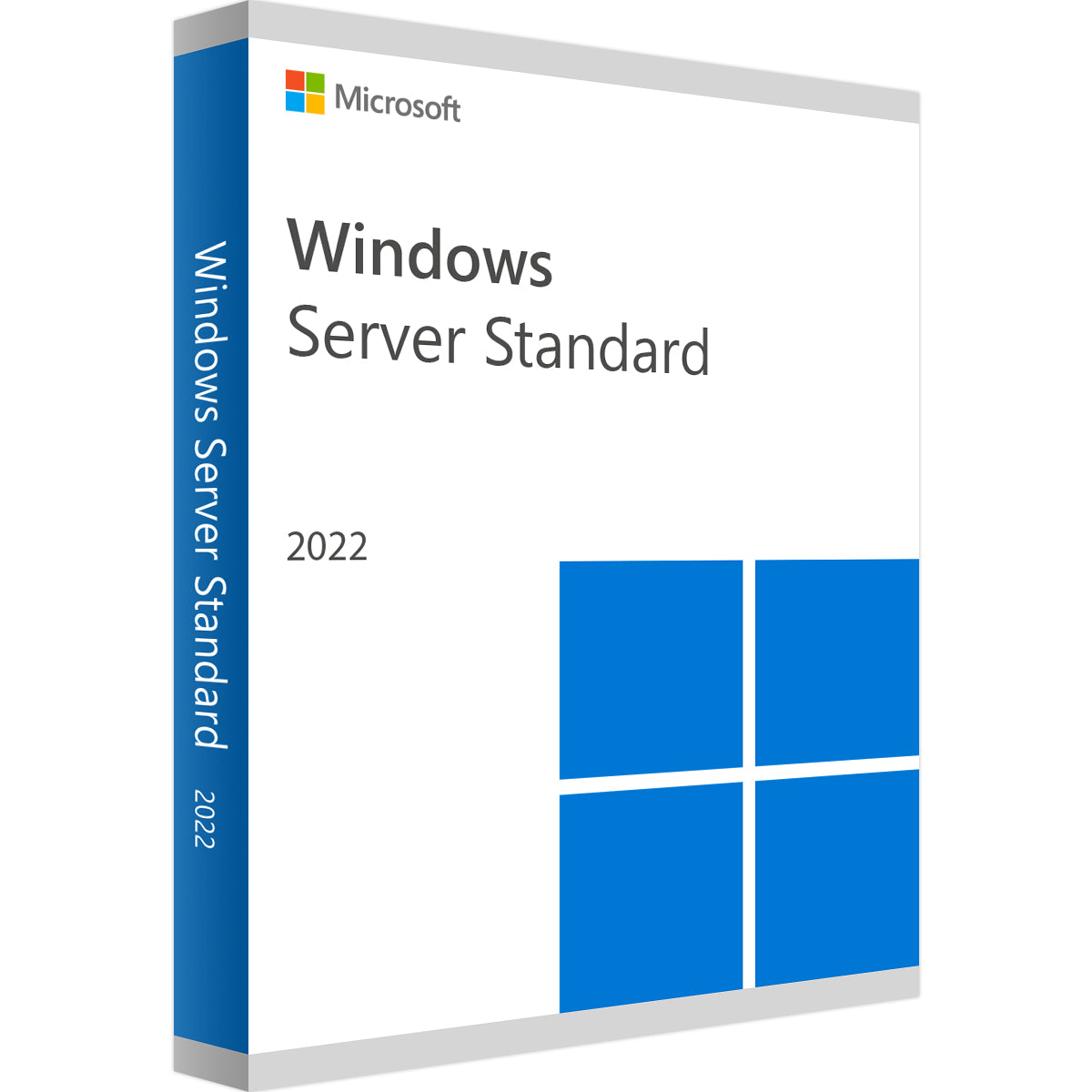 Microsoft Windows Server 2022 Standard Edition