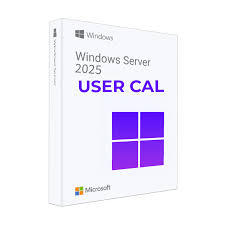 Microsoft Windows Server 2025 Client Access License (CAL) - 10 Users