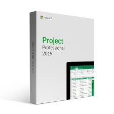 Microsoft Office 2019 Project Professional für Windows