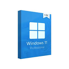 Microsoft Windows 11 Professional