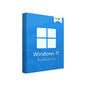 Microsoft Windows 11 Professional